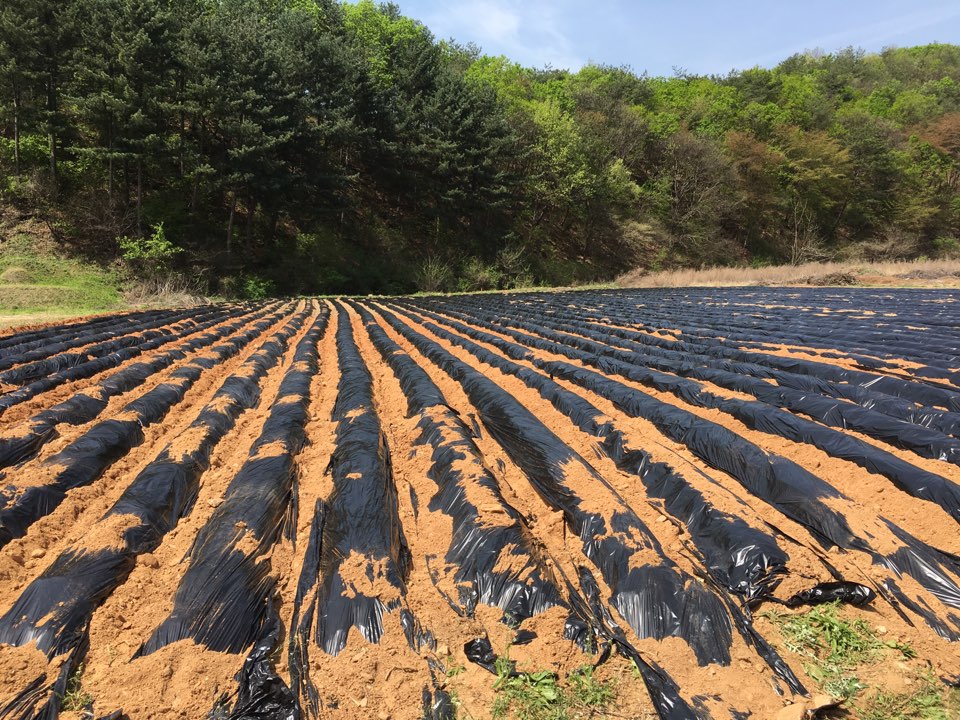 KakaoTalk_20160427_145033629.jpg