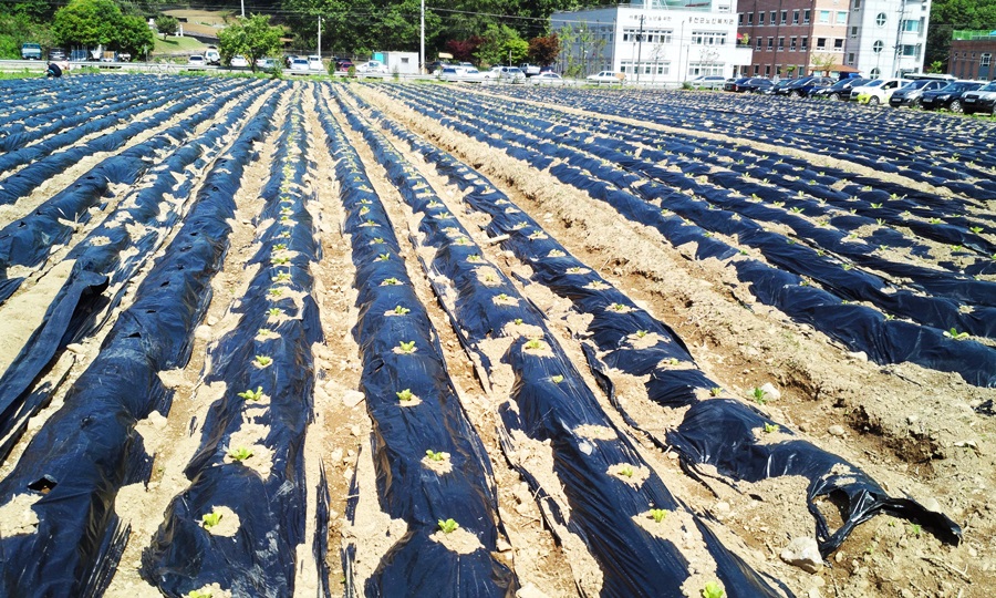 KakaoTalk_20160516_143622721.jpg