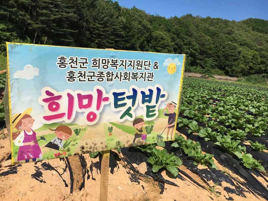 KakaoTalk_20160602_095012509.jpg