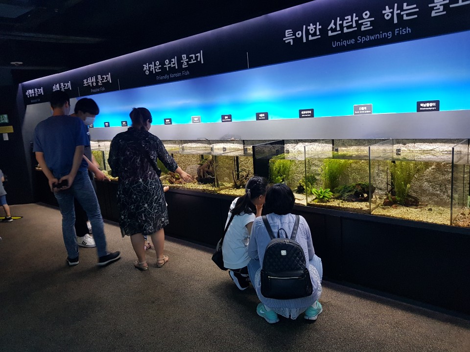 KakaoTalk_20190722_091935853.jpg