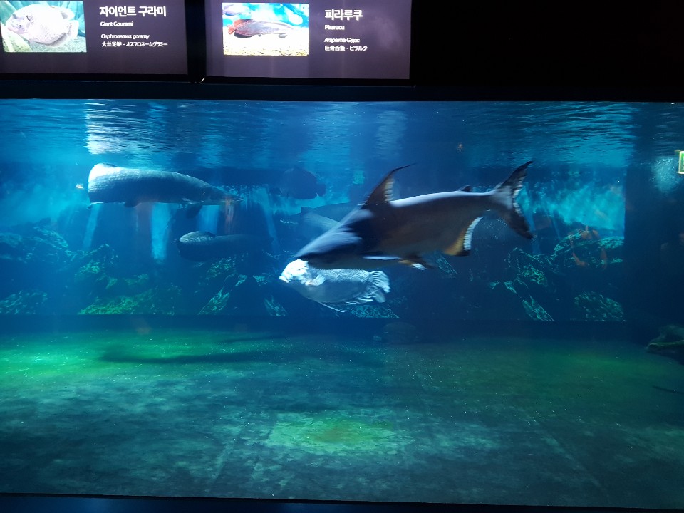 KakaoTalk_20190722_091933202.jpg