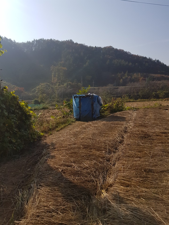 KakaoTalk_20191029_175420843.jpg