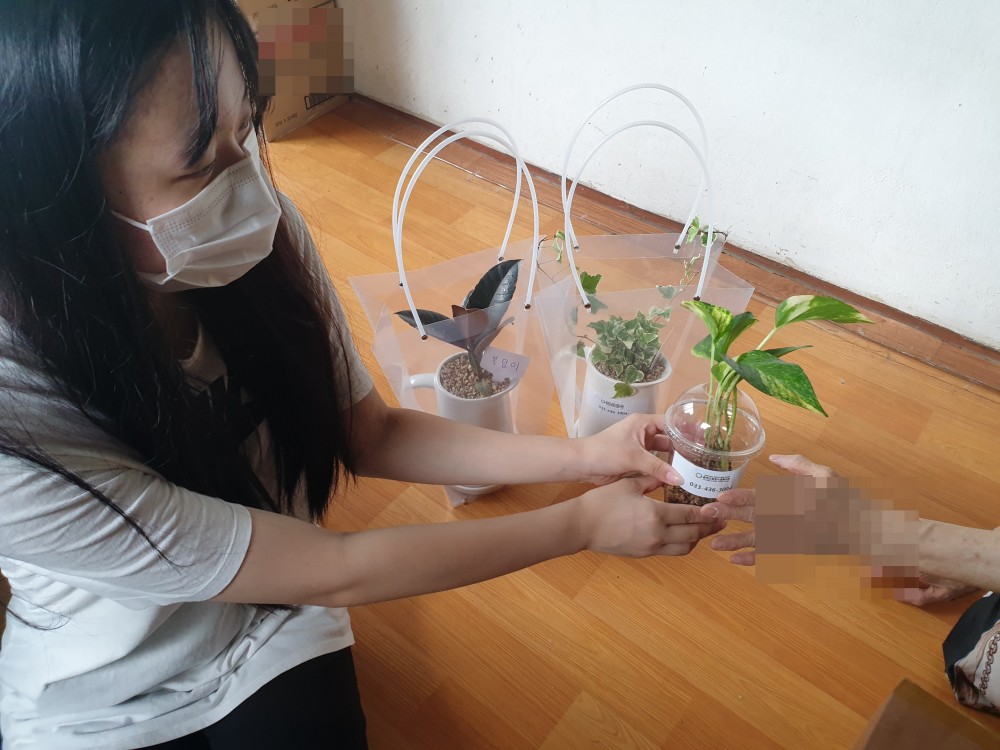 [꾸미기][꾸미기][꾸미기]반려식물전달2.jpg